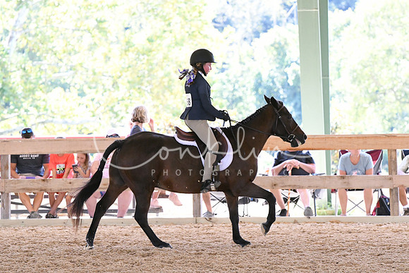 HSM_1593