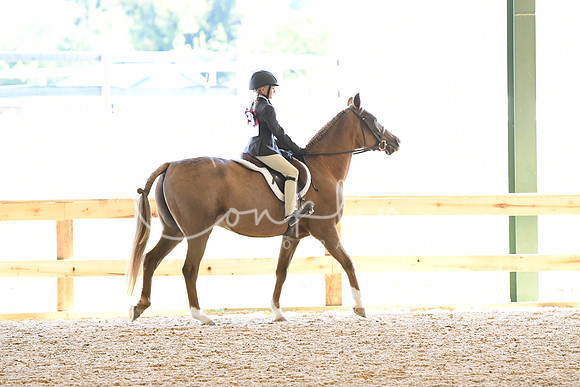 HSM_7511