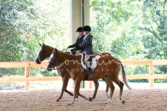 HSM_1618