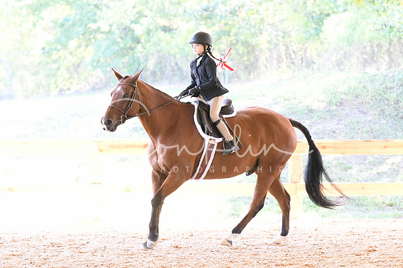 HSM_1623