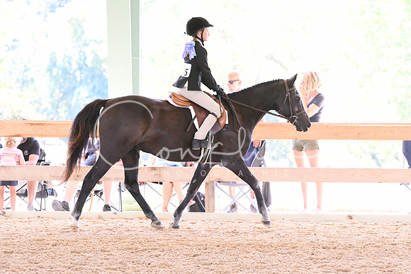 HSM_1633