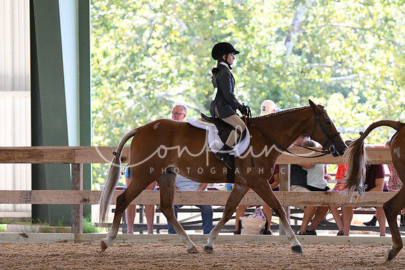 HSM_1637