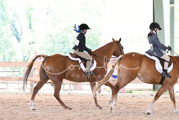 HSM_1651