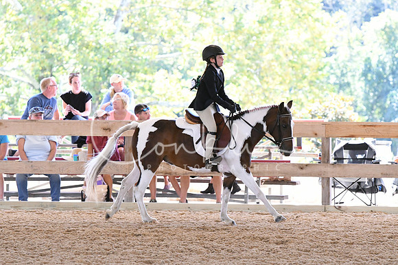 HSM_1652