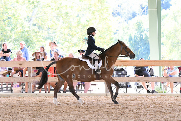 HSM_1698
