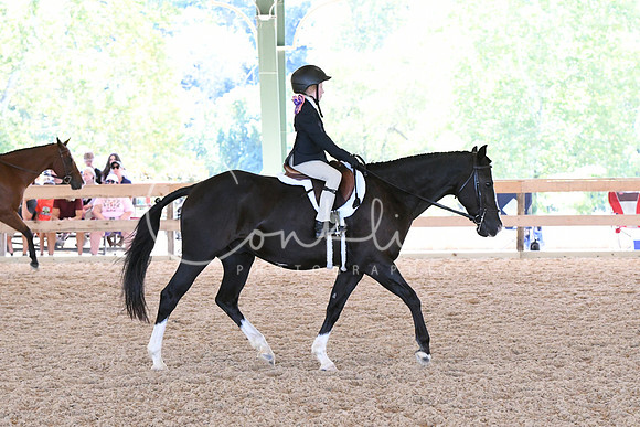 HSM_1706