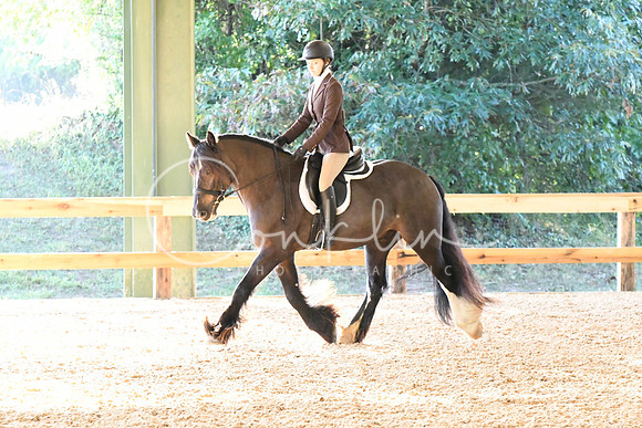 HSM_0186
