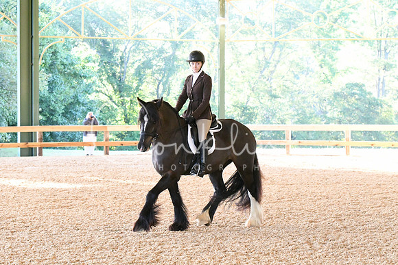 HSM_0194
