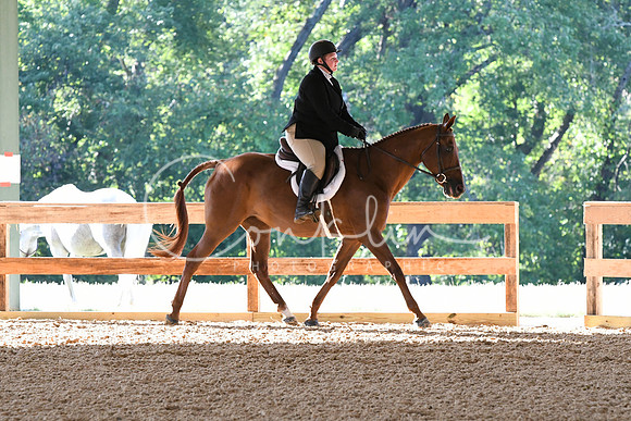 HSM_0203