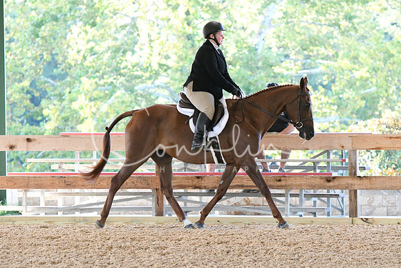 HSM_0205