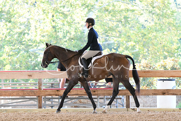 HSM_0233