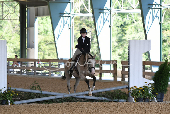 HSM_0079