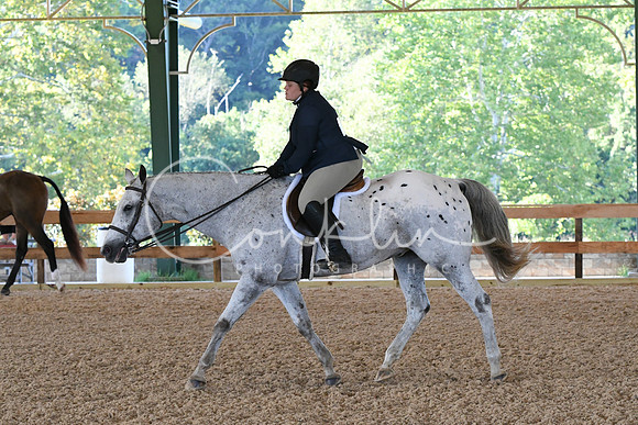 HSM_0250