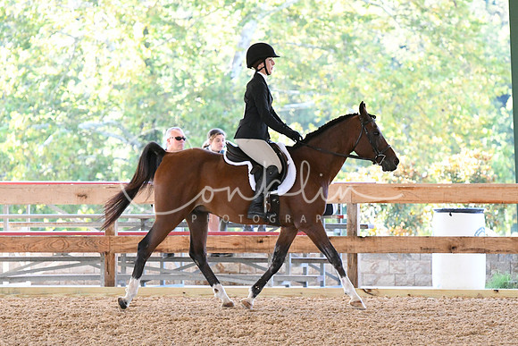 HSM_0259