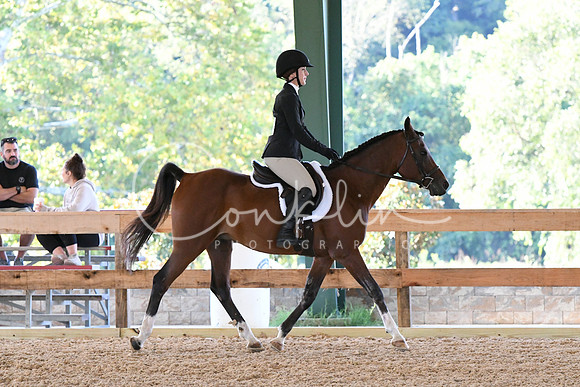 HSM_0260
