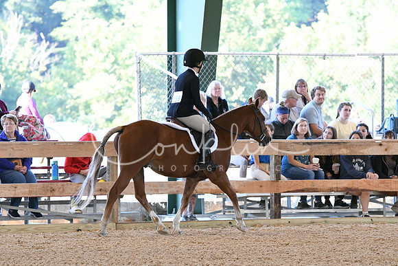 HSM_0261