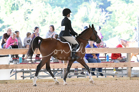 HSM_0262