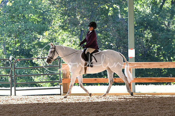 HSM_0273