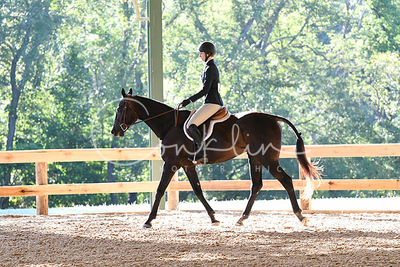 HSM_0279