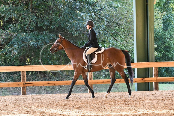 HSM_0284