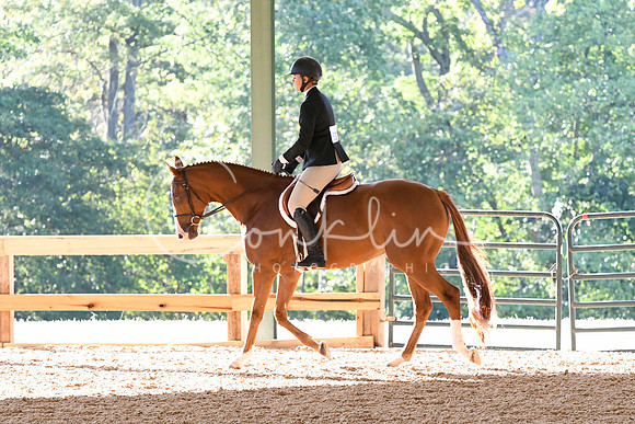 HSM_0288