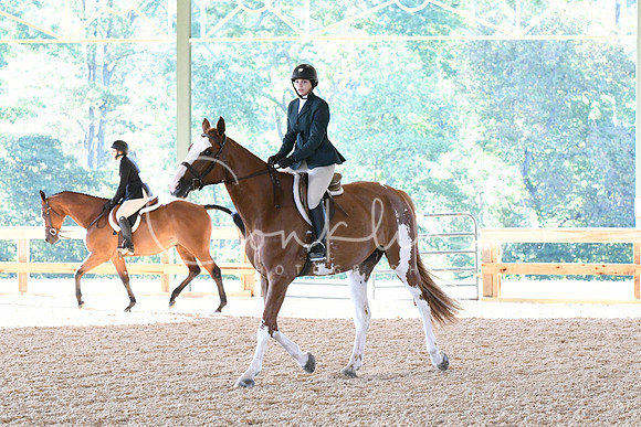 HSM_0291