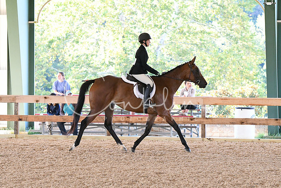 HSM_0314