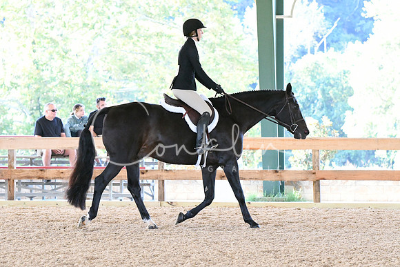 HSM_0322