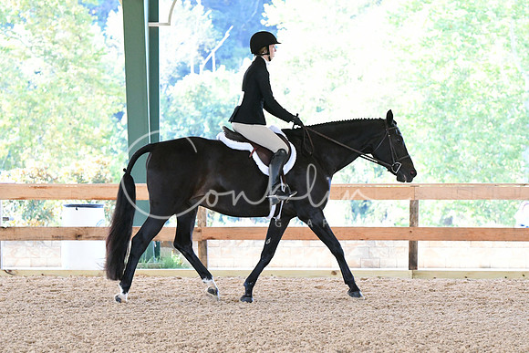 HSM_0323