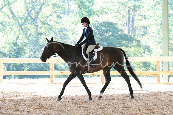 HSM_0335