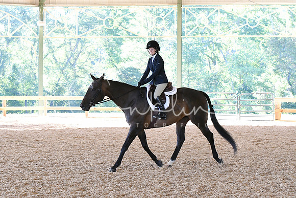 HSM_0351