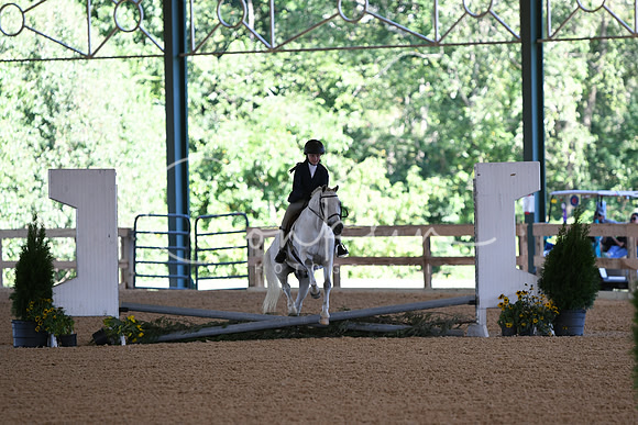 HSM_9854