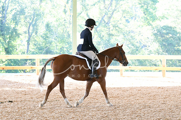 HSM_0375