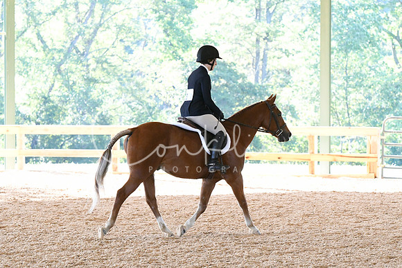 HSM_0376