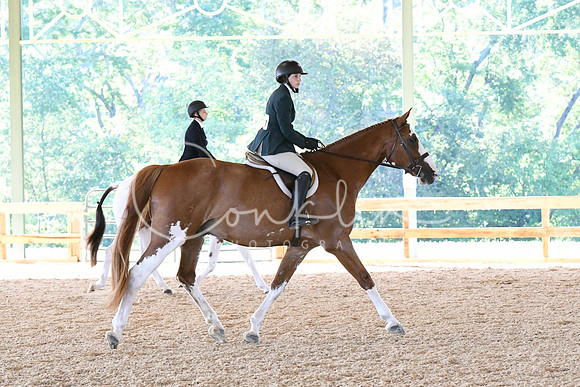 HSM_0379
