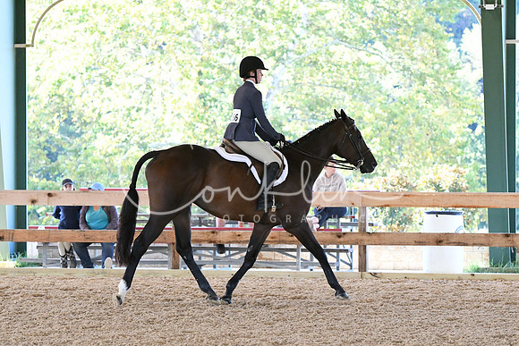 HSM_0382