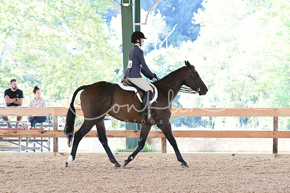 HSM_0383
