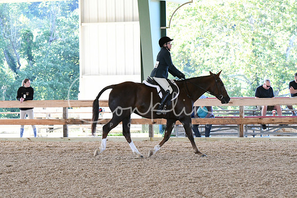HSM_0393