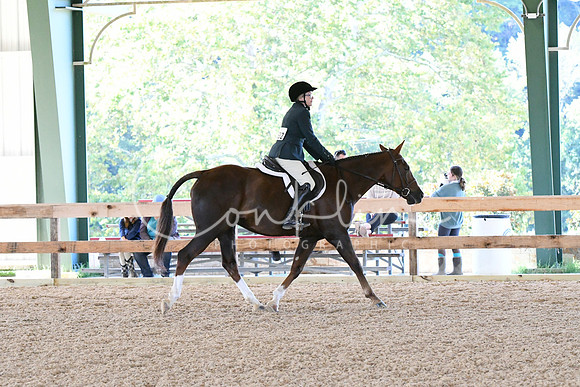 HSM_0394