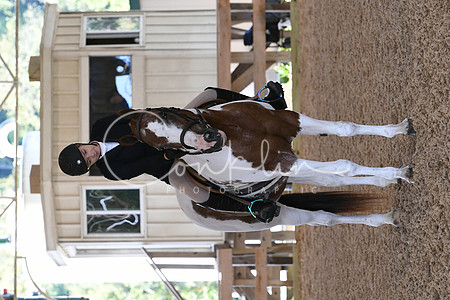 HSM_0405
