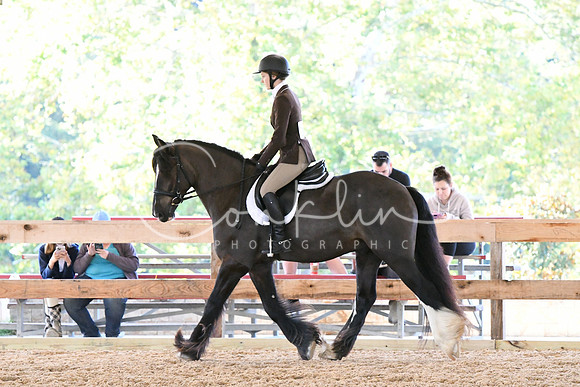 HSM_0437