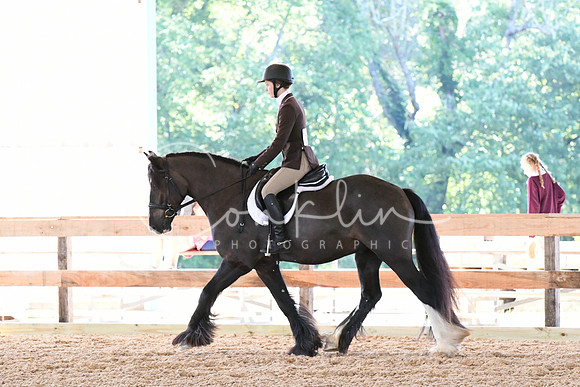 HSM_0438