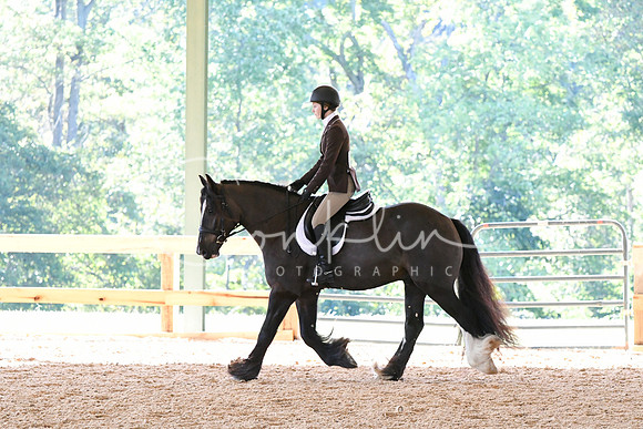 HSM_0439