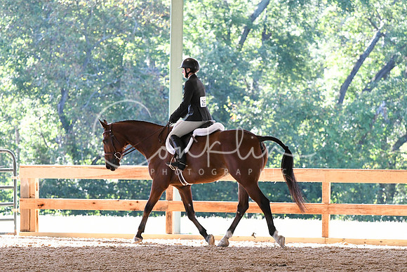 HSM_0441