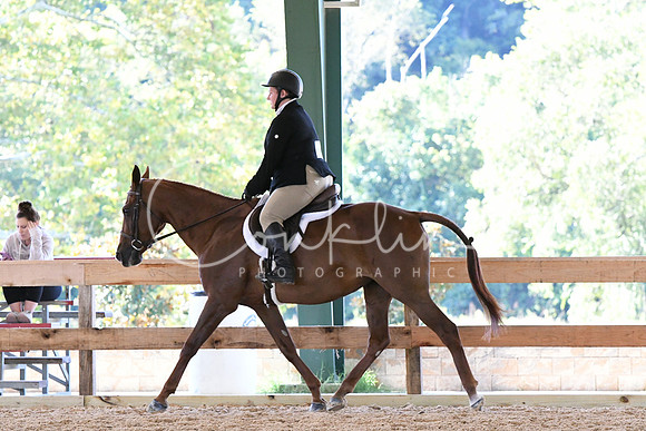 HSM_0446