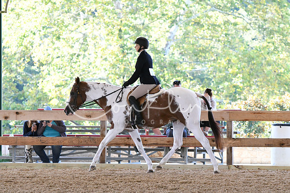 HSM_0453