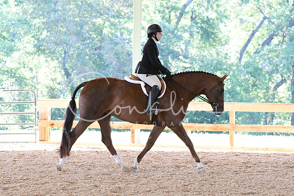 HSM_0479