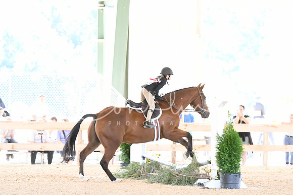 HSM_8721