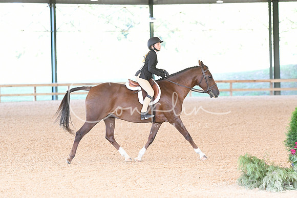 HSM_0113
