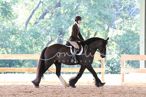 HSM_0496